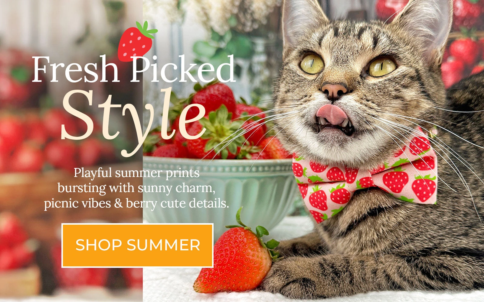 Chic Safety for Your Cat